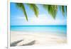 Beautiful Island with Ocean Wave on Sandy Beach and Coconut Tree-raditya-Framed Photographic Print