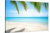 Beautiful Island with Ocean Wave on Sandy Beach and Coconut Tree-raditya-Stretched Canvas