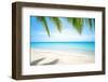 Beautiful Island with Ocean Wave on Sandy Beach and Coconut Tree-raditya-Framed Photographic Print