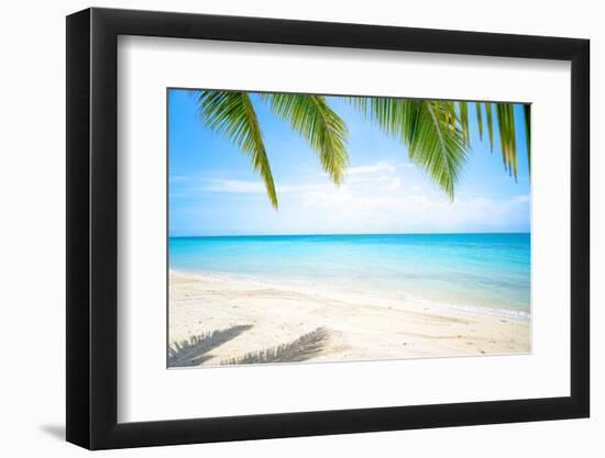 Beautiful Island with Ocean Wave on Sandy Beach and Coconut Tree-raditya-Framed Photographic Print