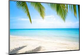 Beautiful Island with Ocean Wave on Sandy Beach and Coconut Tree-raditya-Mounted Photographic Print