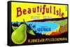 Beautiful Isle Brand Fancy Pears-null-Framed Stretched Canvas