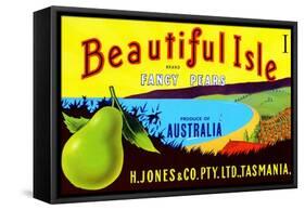 Beautiful Isle Brand Fancy Pears-null-Framed Stretched Canvas