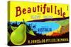 Beautiful Isle Brand Fancy Pears-null-Stretched Canvas