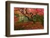 Beautiful Japanese Maple in the Fall-null-Framed Photographic Print