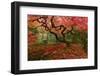 Beautiful Japanese Maple in the Fall-null-Framed Photographic Print