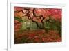 Beautiful Japanese Maple in the Fall-null-Framed Photographic Print