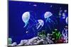 Beautiful Jellyfish, Medusa in the Neon Light with the Fishes. Aquarium with Blue Jellyfish and Lot-Dezay-Mounted Photographic Print