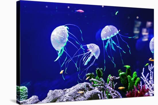 Beautiful Jellyfish, Medusa in the Neon Light with the Fishes. Aquarium with Blue Jellyfish and Lot-Dezay-Stretched Canvas