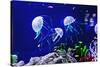 Beautiful Jellyfish, Medusa in the Neon Light with the Fishes. Aquarium with Blue Jellyfish and Lot-Dezay-Stretched Canvas