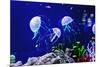 Beautiful Jellyfish, Medusa in the Neon Light with the Fishes. Aquarium with Blue Jellyfish and Lot-Dezay-Mounted Photographic Print