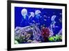 Beautiful Jellyfish, Medusa in the Neon Light with the Fishes. Aquarium with Blue Jellyfish and Lot-Dezay-Framed Photographic Print