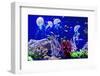 Beautiful Jellyfish, Medusa in the Neon Light with the Fishes. Aquarium with Blue Jellyfish and Lot-Dezay-Framed Photographic Print