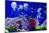 Beautiful Jellyfish, Medusa in the Neon Light with the Fishes. Aquarium with Blue Jellyfish and Lot-Dezay-Mounted Photographic Print