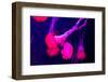 Beautiful Jellyfish Moving Slowly in Aquarium in Dubai-bloodua-Framed Photographic Print