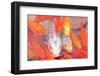 Beautiful Koi Fish in A Pond-lnzyx-Framed Photographic Print