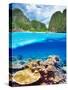 Beautiful Lagoon with Coral Reef Bottom Underwater and above Water Split View-haveseen-Stretched Canvas