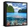 Beautiful Lagoon with Coral Reef Bottom Underwater and above Water Split View-haveseen-Framed Stretched Canvas