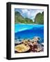 Beautiful Lagoon with Coral Reef Bottom Underwater and above Water Split View-haveseen-Framed Photographic Print