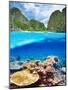 Beautiful Lagoon with Coral Reef Bottom Underwater and above Water Split View-haveseen-Mounted Photographic Print