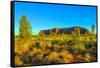 Beautiful landscape Ayers Rock monolith from Talinguru Nyakunytjaku Sunrise, Australia-Alberto Mazza-Framed Stretched Canvas