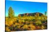 Beautiful landscape Ayers Rock monolith from Talinguru Nyakunytjaku Sunrise, Australia-Alberto Mazza-Stretched Canvas