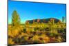 Beautiful landscape Ayers Rock monolith from Talinguru Nyakunytjaku Sunrise, Australia-Alberto Mazza-Mounted Photographic Print