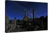 Beautiful Landscape Image of the Tufas of Mono Lake-tobkatrina-Stretched Canvas