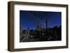 Beautiful Landscape Image of the Tufas of Mono Lake-tobkatrina-Framed Photographic Print