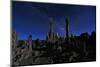 Beautiful Landscape Image of the Tufas of Mono Lake-tobkatrina-Mounted Photographic Print