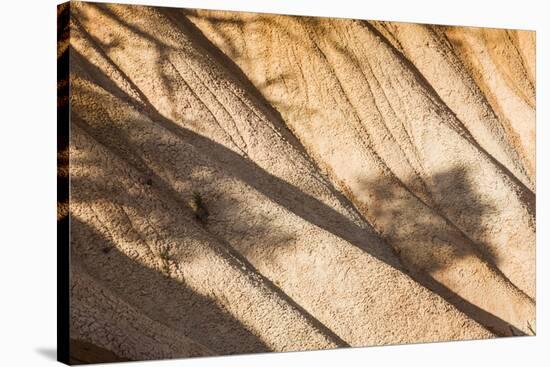 Beautiful Landscape in Bryce Canyon with Magnificent Stone Formation-Jorg Hackemann-Stretched Canvas