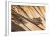 Beautiful Landscape in Bryce Canyon with Magnificent Stone Formation-Jorg Hackemann-Framed Photographic Print