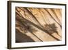 Beautiful Landscape in Bryce Canyon with Magnificent Stone Formation-Jorg Hackemann-Framed Photographic Print