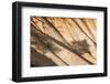 Beautiful Landscape in Bryce Canyon with Magnificent Stone Formation-Jorg Hackemann-Framed Photographic Print