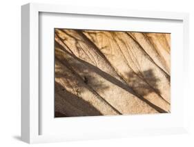 Beautiful Landscape in Bryce Canyon with Magnificent Stone Formation-Jorg Hackemann-Framed Photographic Print