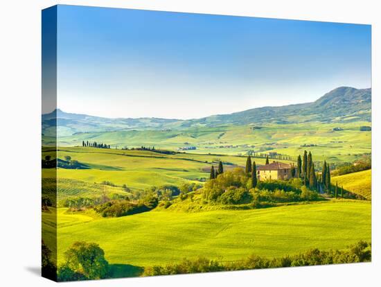 Beautiful Landscape in Tuscany, Italy-sborisov-Stretched Canvas