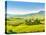 Beautiful Landscape in Tuscany, Italy-sborisov-Stretched Canvas