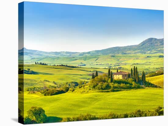 Beautiful Landscape in Tuscany, Italy-sborisov-Stretched Canvas