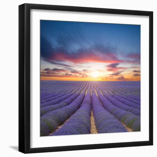 Beautiful Landscape of Blooming Lavender Field in Sunset. Provence, France, Europe-Jakub Gojda-Framed Photographic Print