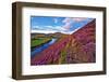 Beautiful Landscape of Scottish Nature--Markus--Framed Photographic Print