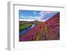 Beautiful Landscape of Scottish Nature--Markus--Framed Photographic Print