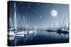 Beautiful Landscape of Yacht Harbor at Night, Full Moon, Marina in Bright Moonlight, Luxury Water T-Anna Omelchenko-Stretched Canvas