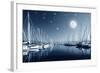 Beautiful Landscape of Yacht Harbor at Night, Full Moon, Marina in Bright Moonlight, Luxury Water T-Anna Omelchenko-Framed Photographic Print