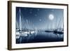 Beautiful Landscape of Yacht Harbor at Night, Full Moon, Marina in Bright Moonlight, Luxury Water T-Anna Omelchenko-Framed Photographic Print