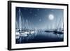 Beautiful Landscape of Yacht Harbor at Night, Full Moon, Marina in Bright Moonlight, Luxury Water T-Anna Omelchenko-Framed Photographic Print