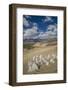 Beautiful Landscape with a Lot of Stupas near Shey-Guido Cozzi-Framed Photographic Print