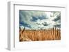 Beautiful Landscape with Field of Ripe Rye and Blue Summer Sky.-OlegRi-Framed Photographic Print