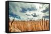 Beautiful Landscape with Field of Ripe Rye and Blue Summer Sky.-OlegRi-Framed Stretched Canvas