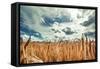 Beautiful Landscape with Field of Ripe Rye and Blue Summer Sky.-OlegRi-Framed Stretched Canvas