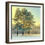 Beautiful Landscape with Winter Forest-DeSerg-Framed Photographic Print